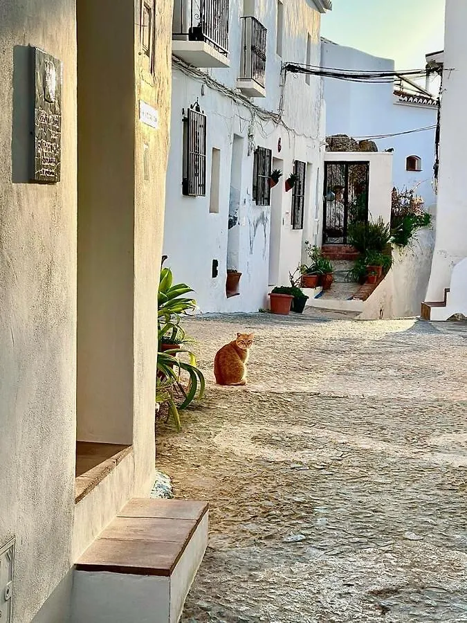 Casa rural Hostal El corralón Frigiliana